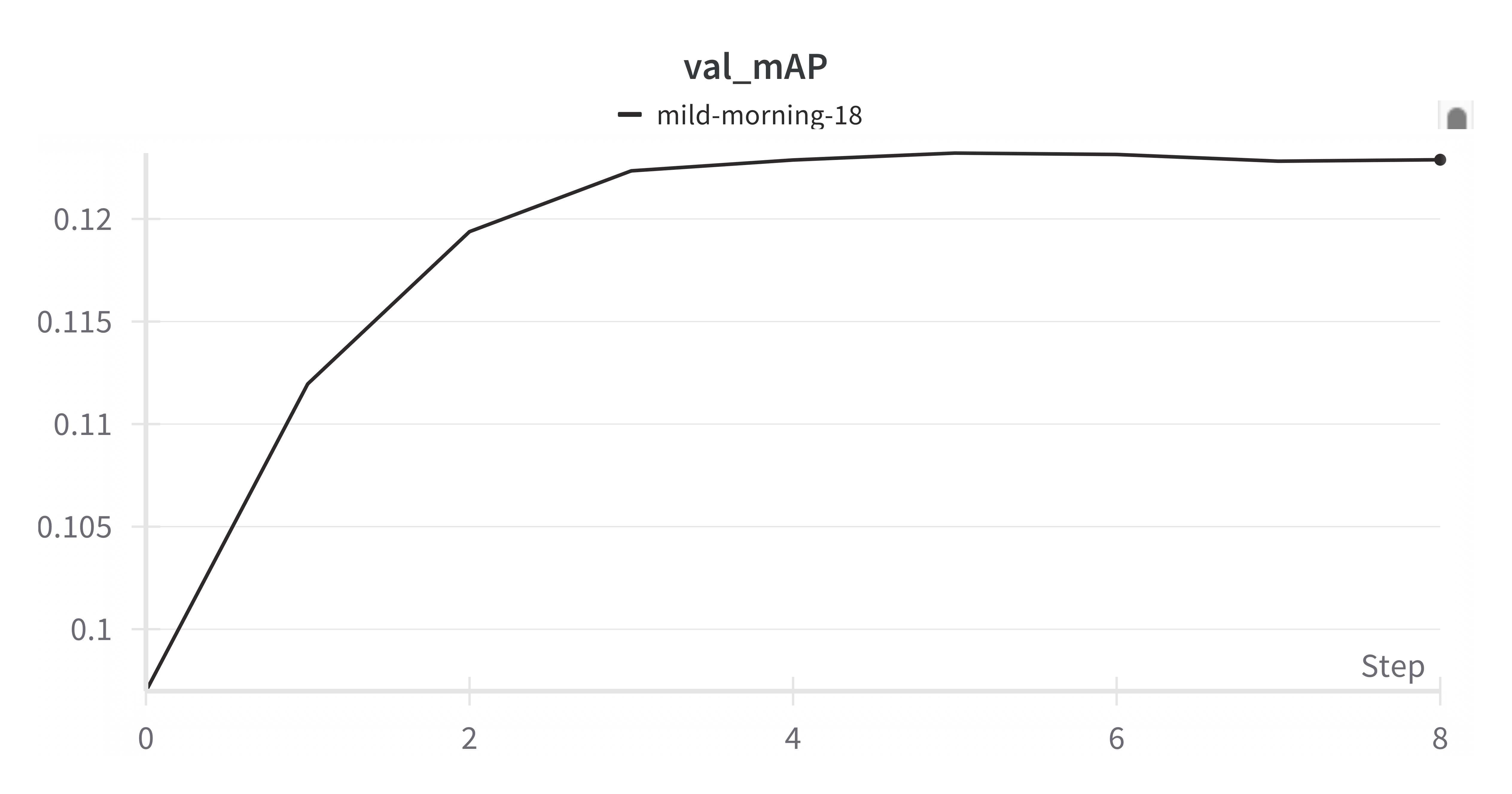 val mAP maxing out at 0.125
