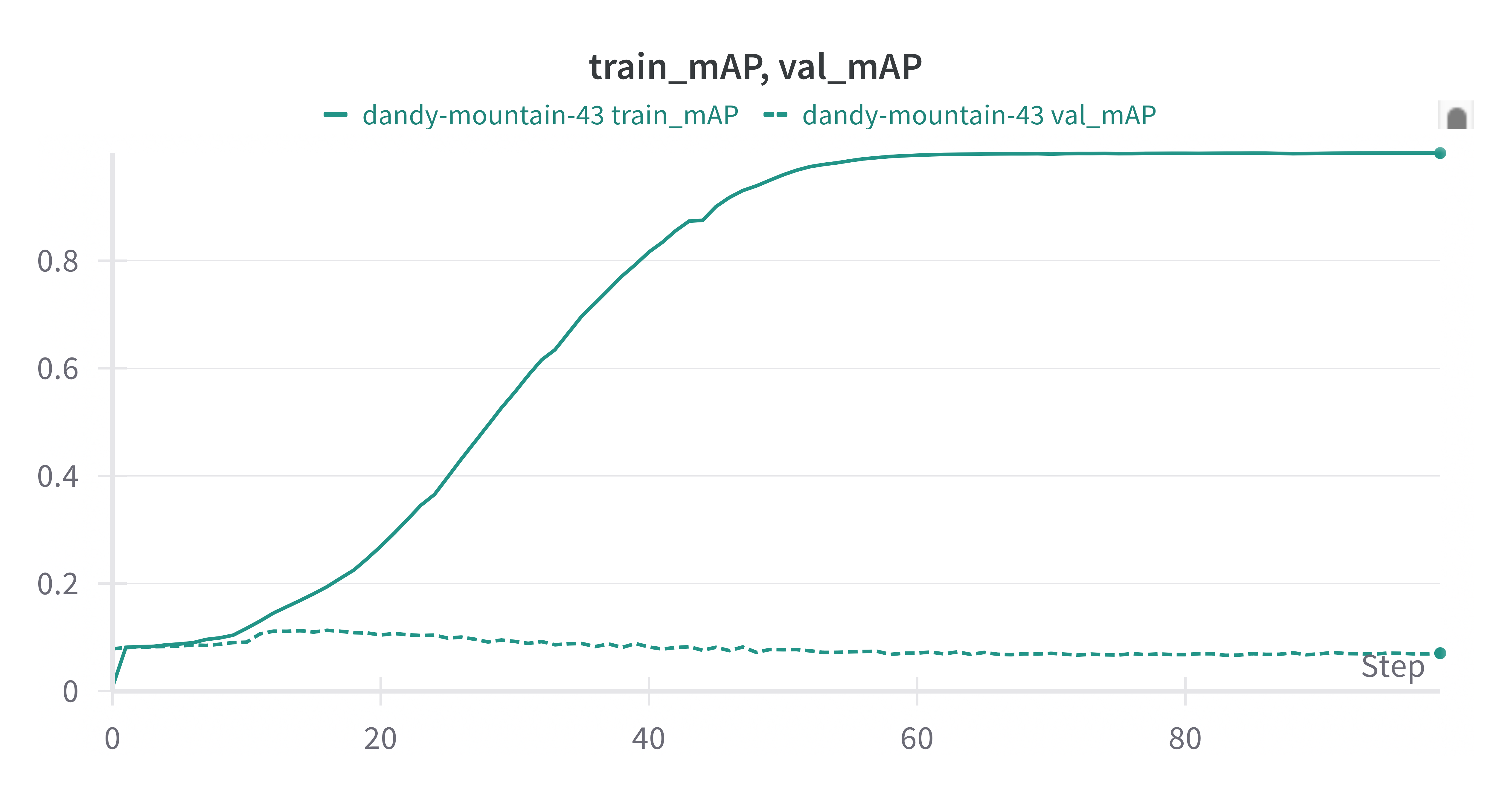 train mAP goes to 1.0, val mAP maxes at 0.11 then falls