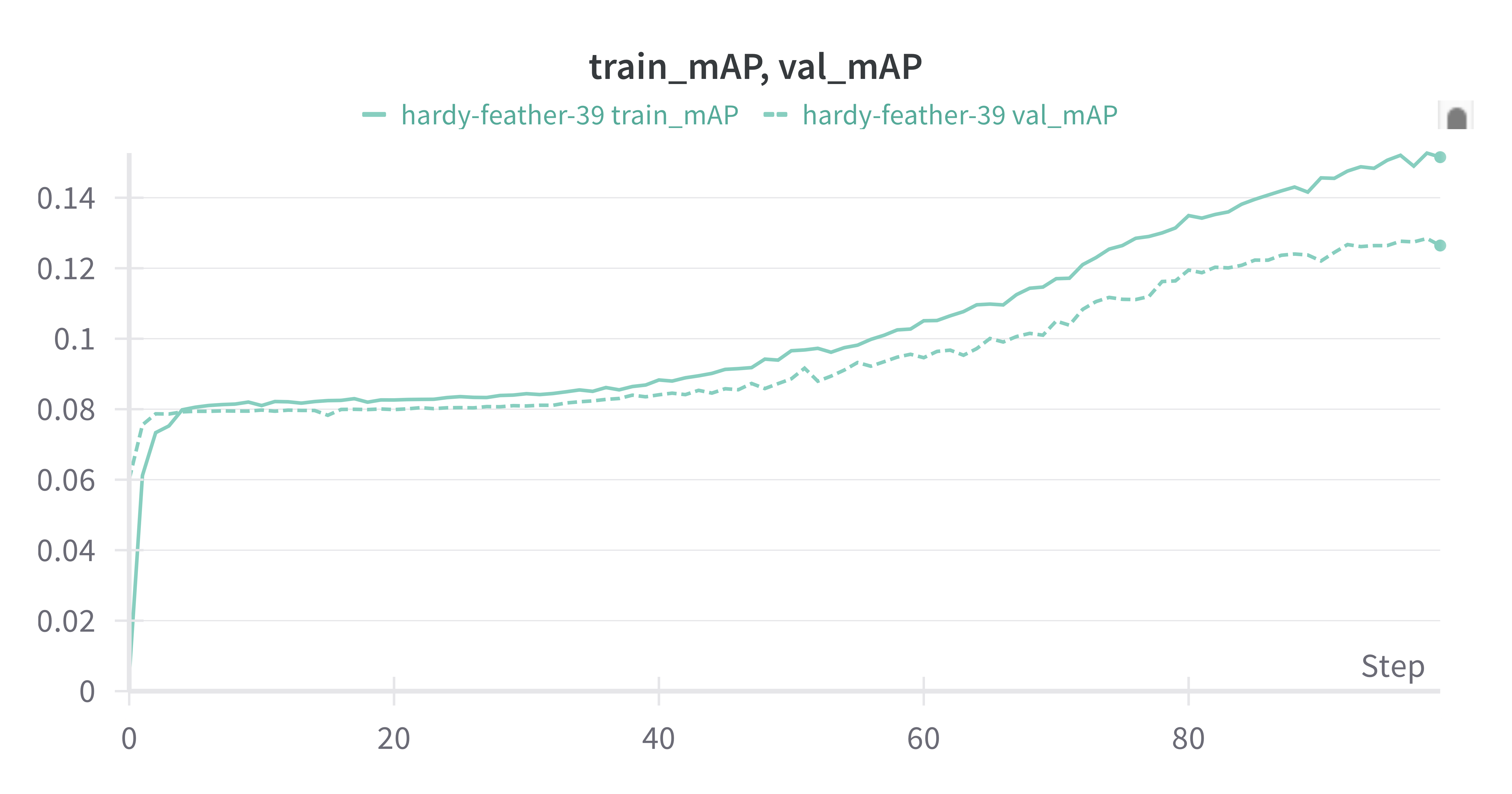 mAPs level out for 50 epochs, then rise