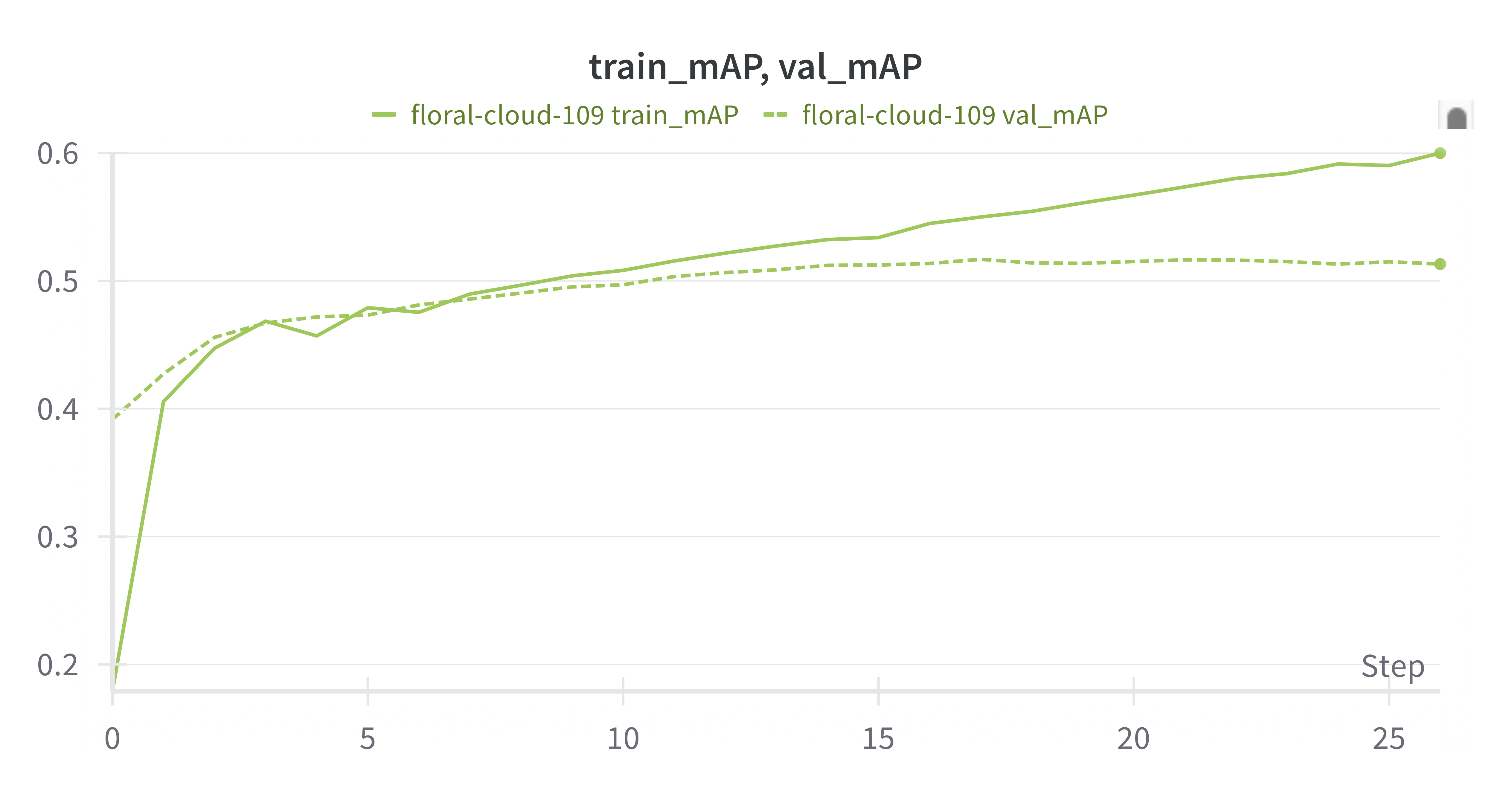 peak val mAP of .517